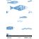Papel-de-parede-peixe-marinho