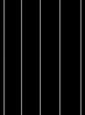 Papel-de-parede-linhas-verticais-i-branco-e-preto