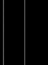 Papel-de-parede-linhas-verticais-ii-branco-e-preto