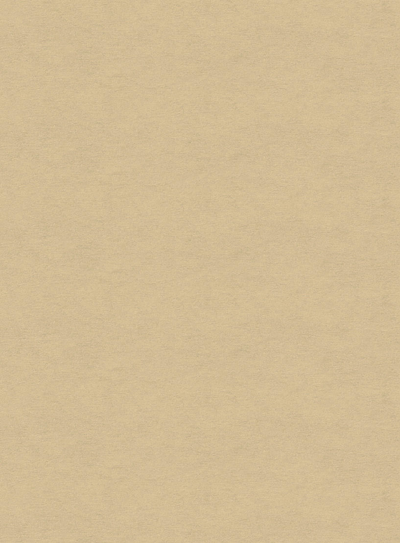 Papel-de-parede-linho-bege-732