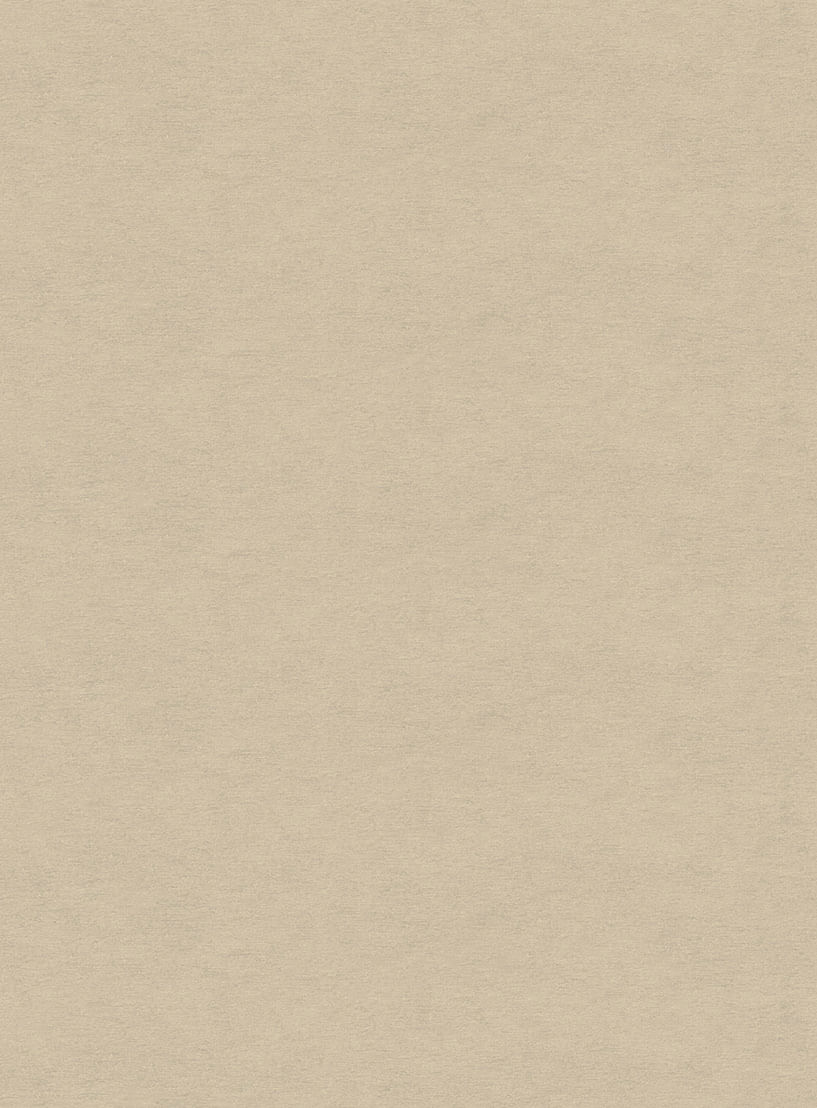 Papel-de-parede-linho-bege-731
