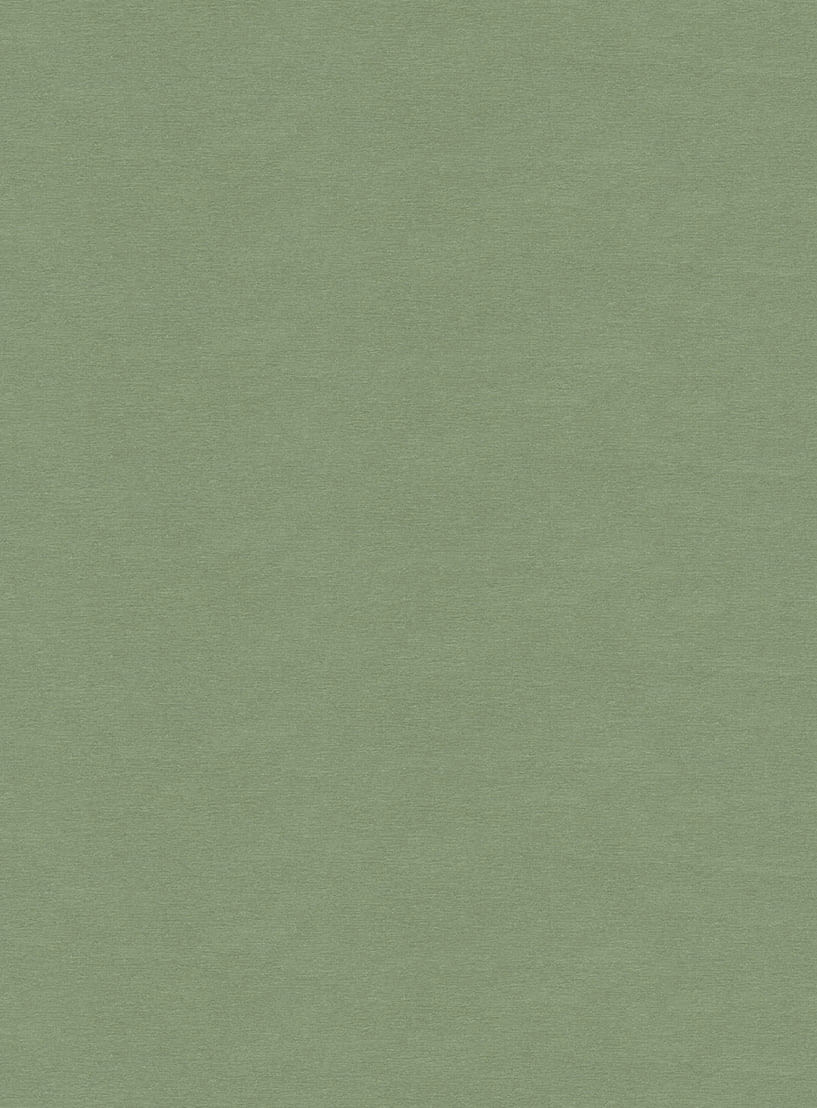 Papel-de-parede-linho-verde-578