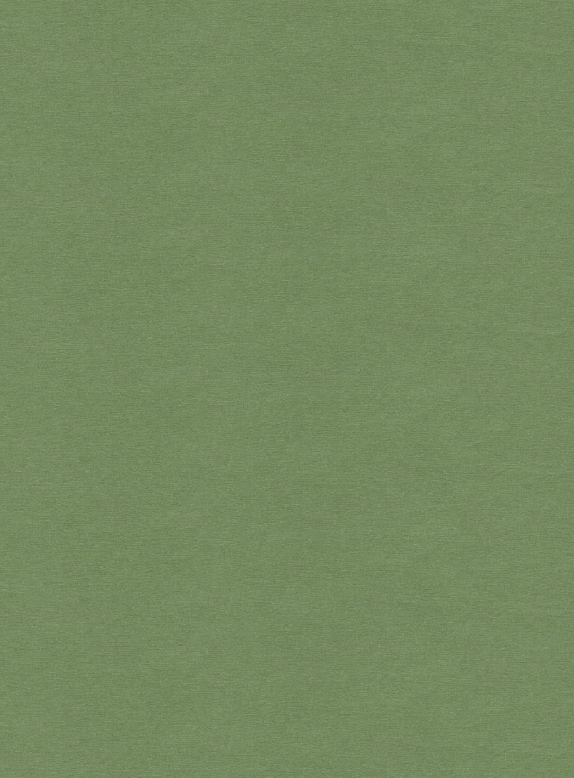 Papel-de-parede-linho-verde-579