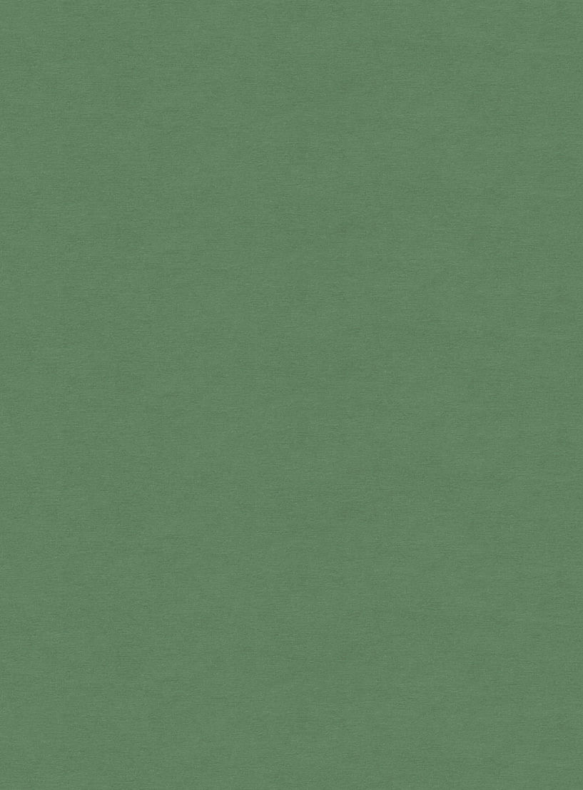 Papel-de-parede-linho-verde-724
