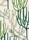 Papel-de-parede-mandacaru-branco-e-verde