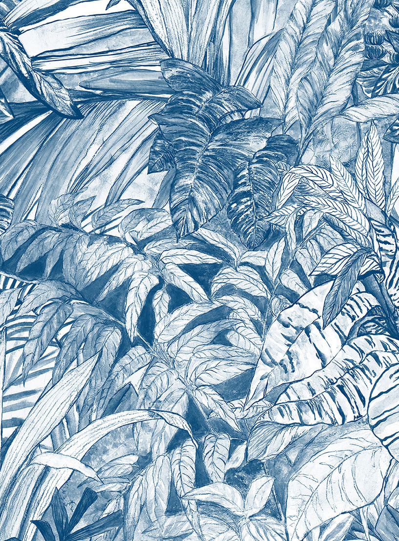 Papel-de-parede-mata-atlantica-azul