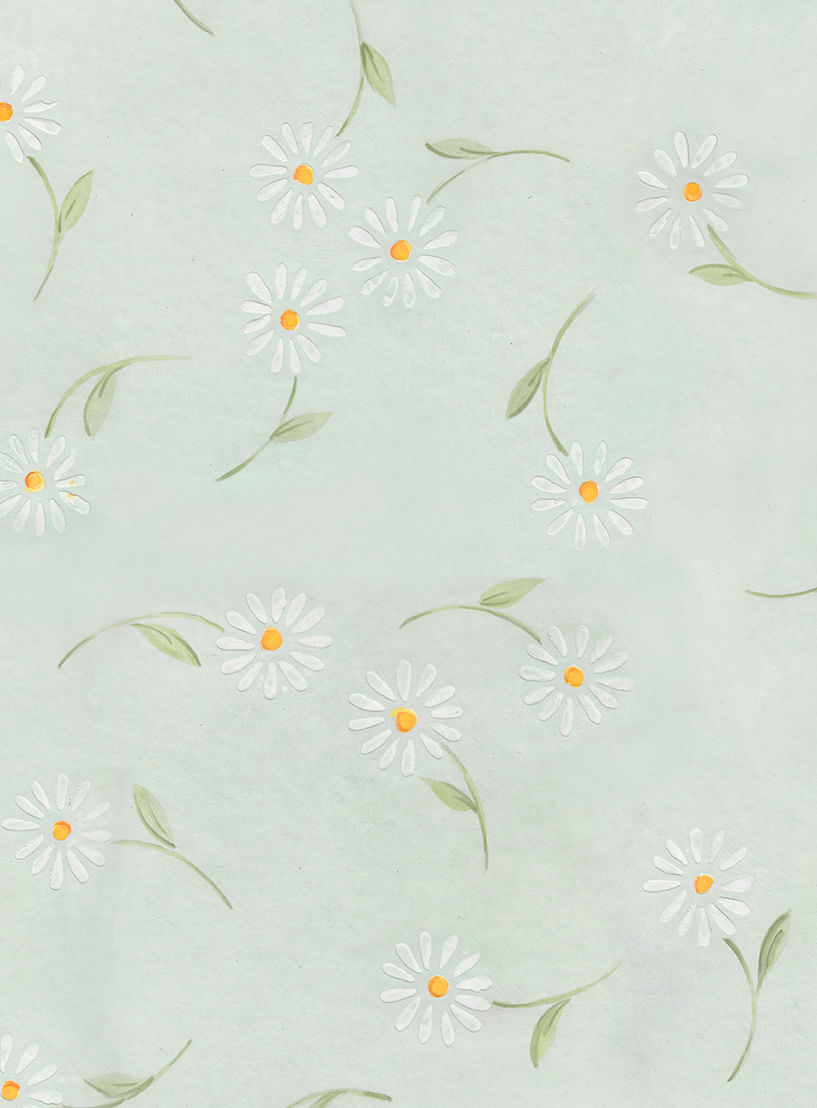 papel-de-parede-margaridas-verde