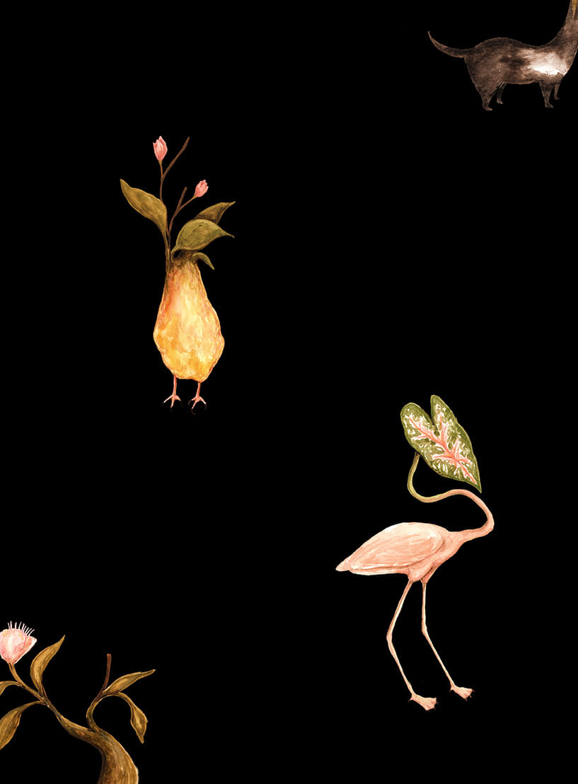 Papel-de-parede-botanico-fundo-preto