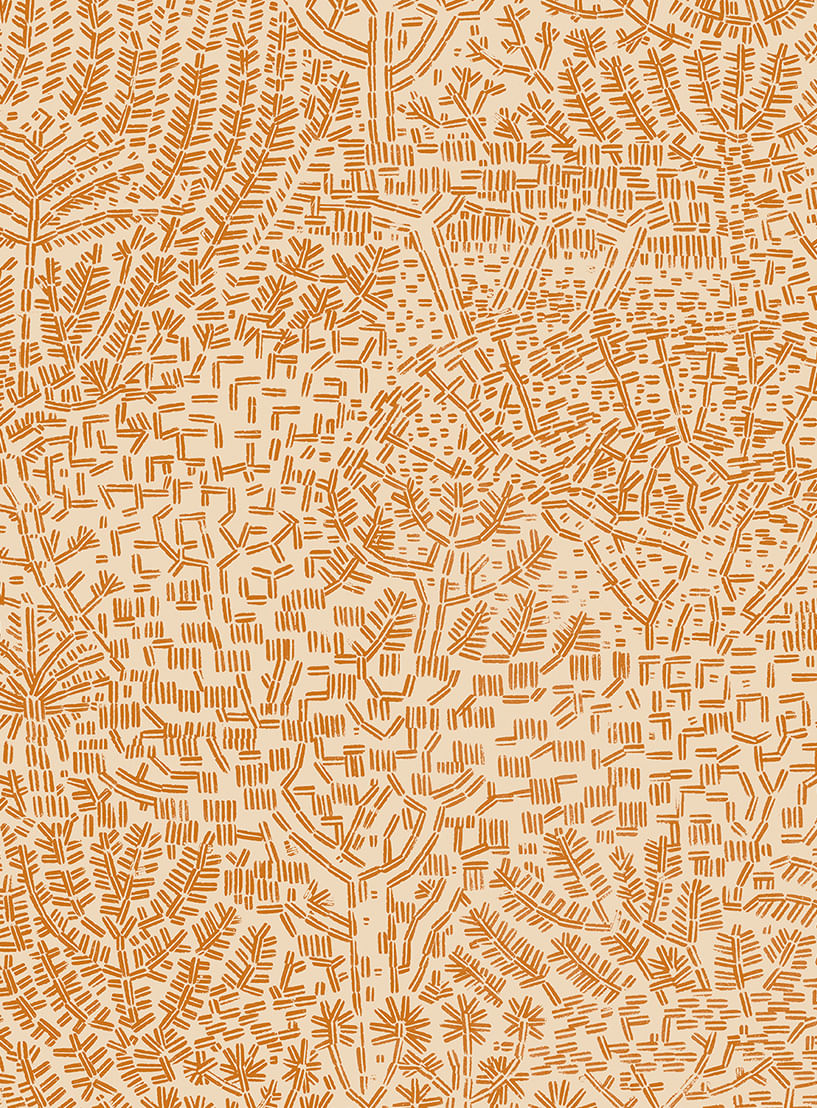 Papel-de-parede-arvores-palha