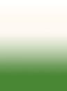 Papel-de-parede-degrade-verde-129