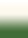 Papel-de-parede-degrade-verde-130