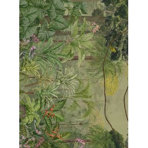 Papel-de-parede-amazonia-densa