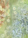 Papel-de-Parede-Campos-de-Margarida